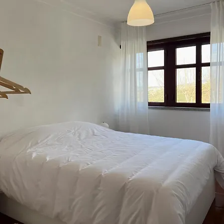 Casa Flor De Carqueja Seia