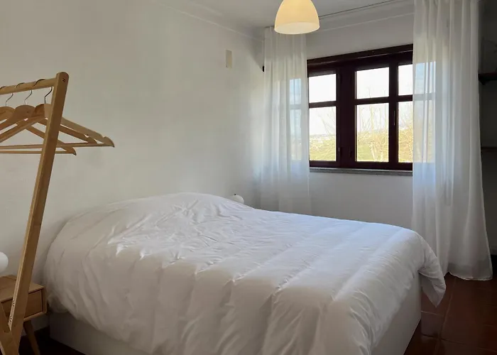 Casa Flor De Carqueja Seia