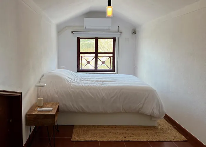 Daire Casa Flor De Carqueja Seia